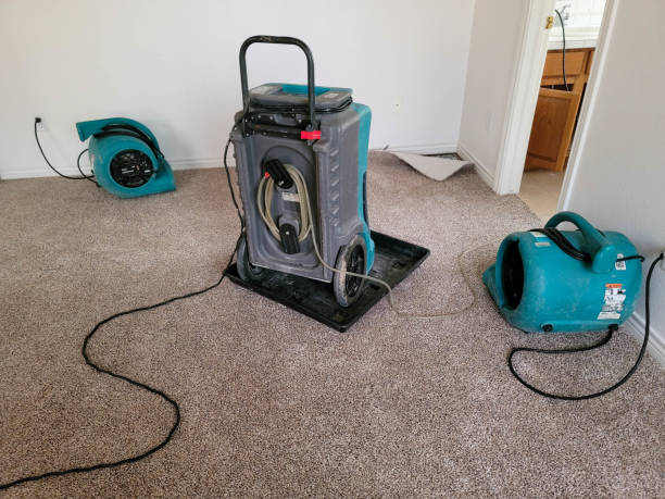 Best Fire Damage Restoration  in Man, WV