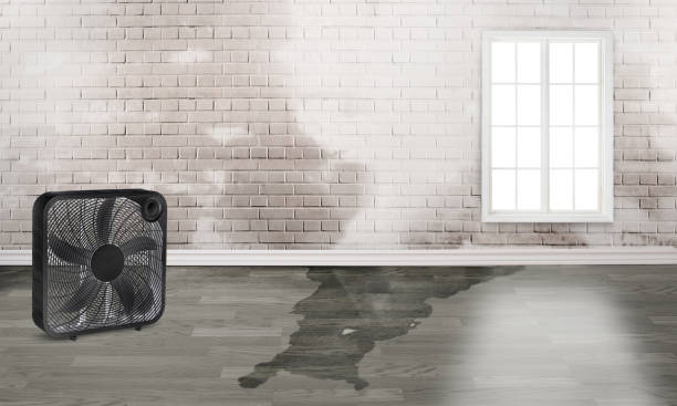 Best 24-hour water damage restoration  in Man, WV