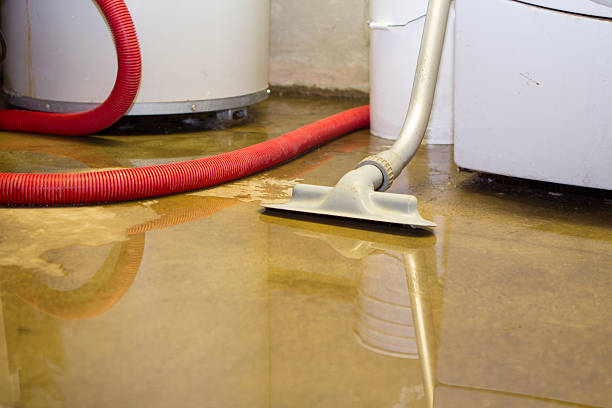 Best Basement water damage restoration  in Man, WV
