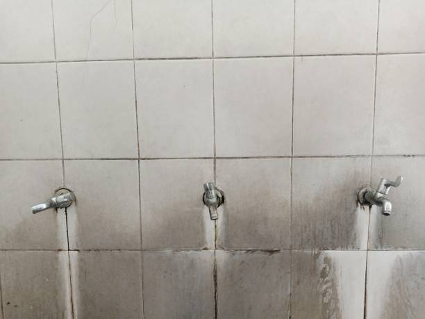 Best Flood damage cleanup  in Man, WV