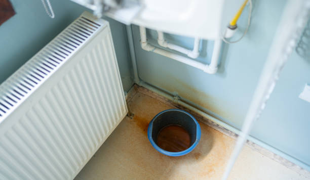 Best Local water damage restoration  in Man, WV