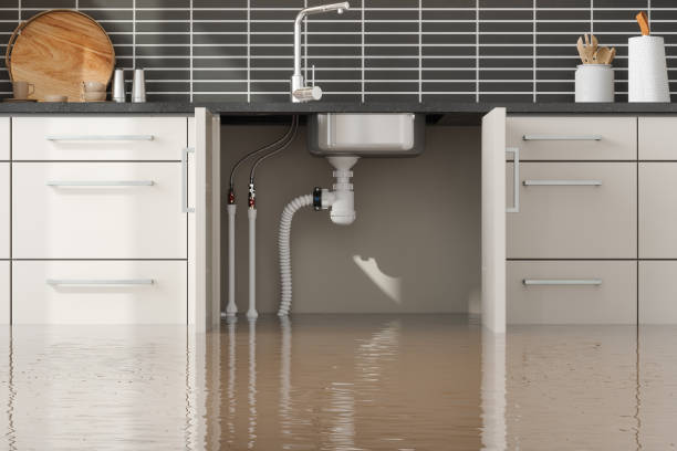 Best Local water damage restoration  in Man, WV