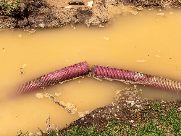 Best Basement water damage restoration  in Man, WV